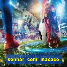 sonhar com macaco o que significa